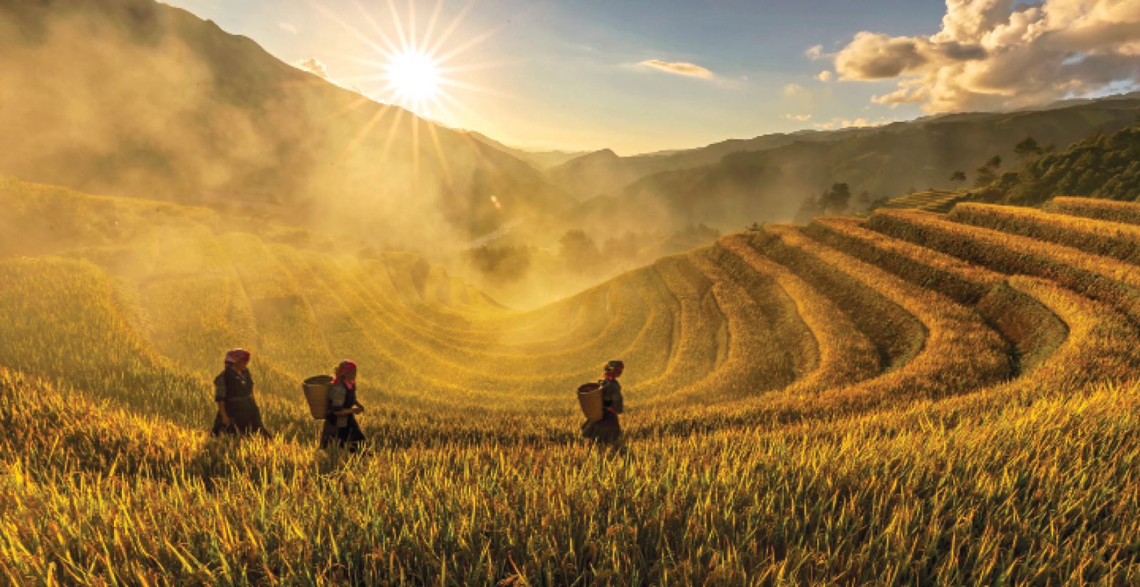 Không chỉ đơn thuần là kết quả của phương thức sản xuất nông nghiệp, ruộng bậc thang Tây Bắc với vẻ đẹp kỳ vĩ thơ mộng còn là biểu tượng thấm đẫm các giá trị văn hóa lịch sử, là minh chứng cho tinh thần cố kết cộng đồng, ý thức nỗ lực sáng tạo vượt lên hoàn cảnh sống khắc nghiệt. Ruộng bậc thang còn có tiềm năng dồi dào để khai thác trở thành sản phẩm du lịch đặc trưng vùng đồng bào dân tộc thiểu số và miền núi Tây Bắc.